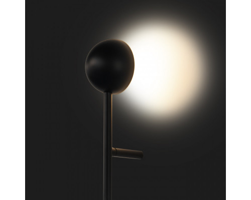 Заказать Светильник для картин LOFT IT 10046| VIVID-LIGHT.RU