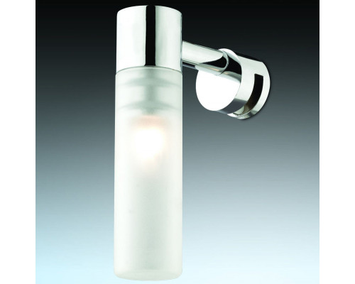 Оформить заказ Светильник для картин Odeon Light 2447/1| VIVID-LIGHT.RU