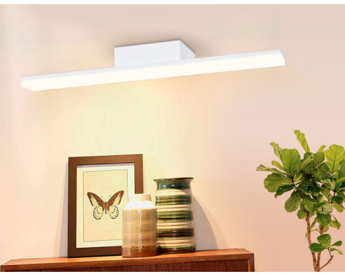 Купить Светильник для картин Ambrella Light FW421| VIVID-LIGHT.RU