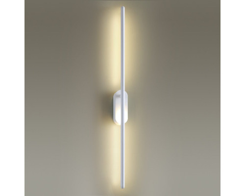 Сделать заказ Светильник для картин Odeon Light 3858/12WW| VIVID-LIGHT.RU