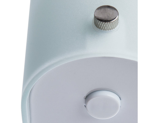 Сделать заказ Светильник для картин ARTE Lamp A4101AP-2WH| VIVID-LIGHT.RU