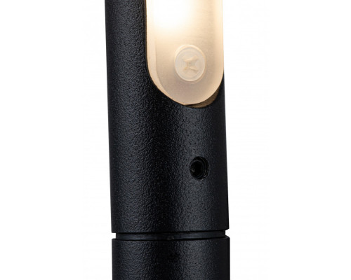 Заказать Светильник для картин LOFT IT 10012/6BK| VIVID-LIGHT.RU