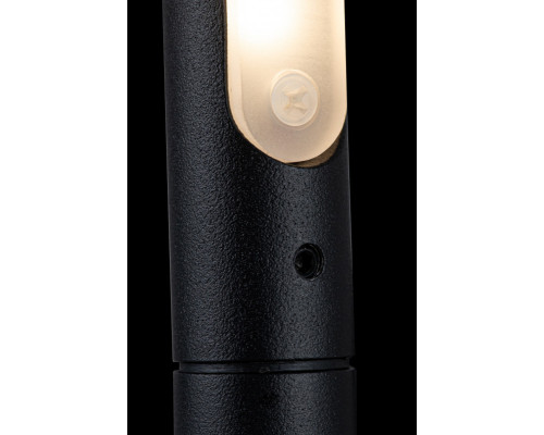 Заказать Светильник для картин LOFT IT 10012/6BK| VIVID-LIGHT.RU