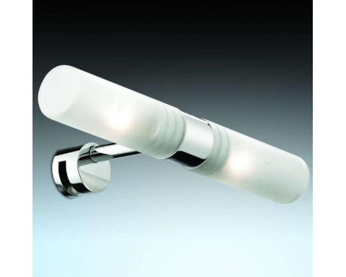 Купить Светильник для картин Odeon Light 2446/2| VIVID-LIGHT.RU