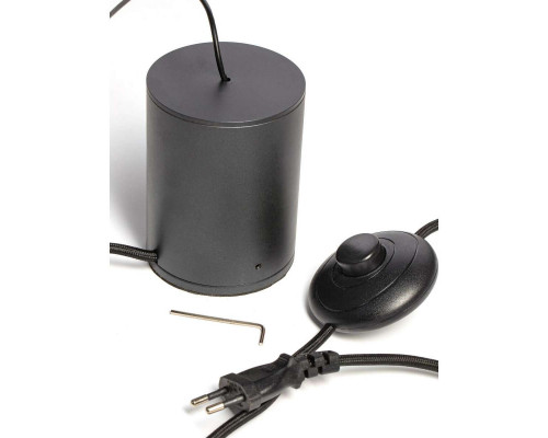 Оформить заказ Светильник для картин LOFT IT 3604-BL| VIVID-LIGHT.RU