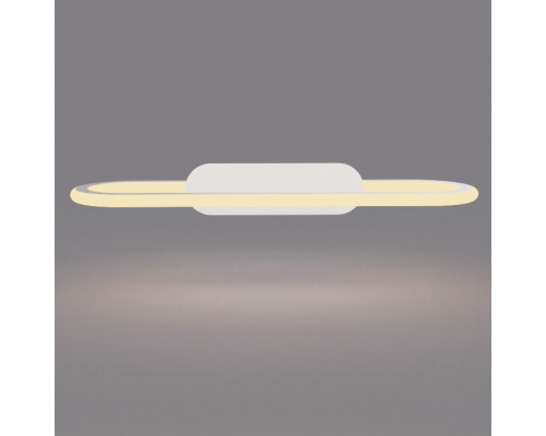 Оформить заказ Светильник для картин Favourite 2436-2W| VIVID-LIGHT.RU