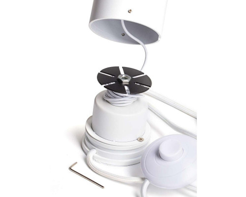 Оформить заказ Светильник для картин LOFT IT 3604-WH| VIVID-LIGHT.RU