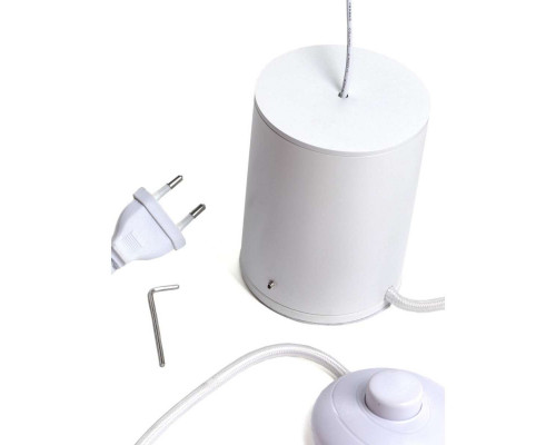 Оформить заказ Светильник для картин LOFT IT 3604-WH| VIVID-LIGHT.RU