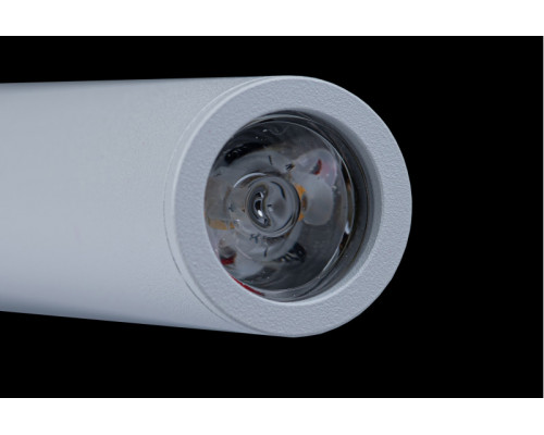 Оформить заказ Светильник для картин LOFT IT 10012/6+3WH| VIVID-LIGHT.RU