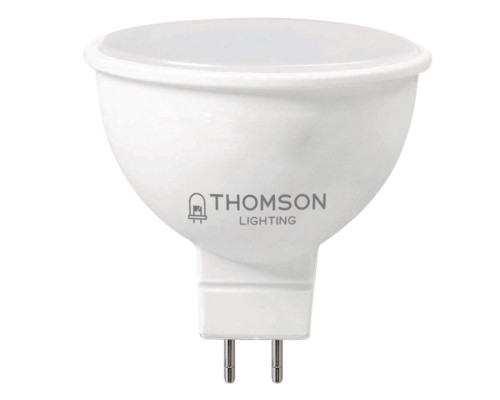 Заказать Светодиодная лампа THOMSON TH-B2043| VIVID-LIGHT.RU