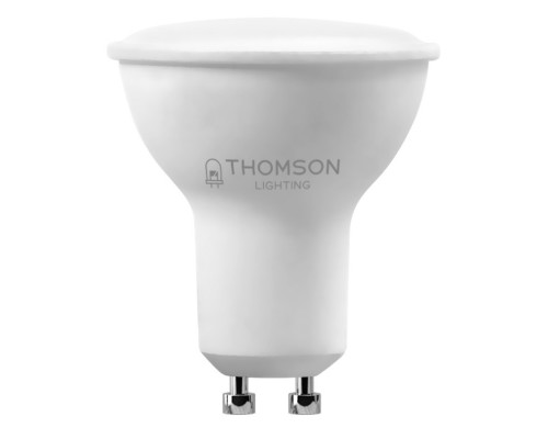 Купить Светодиодная лампа THOMSON TH-B2103| VIVID-LIGHT.RU