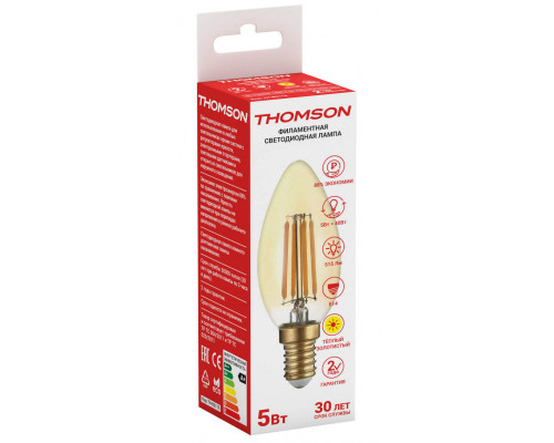 Оформить заказ Светодиодная лампа THOMSON TH-B2113| VIVID-LIGHT.RU