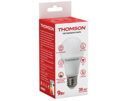 Заказать Светодиодная лампа THOMSON TH-B2165| VIVID-LIGHT.RU