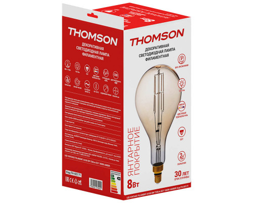 Заказать Светодиодная лампа THOMSON TH-B2171| VIVID-LIGHT.RU