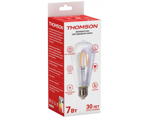 Сделать заказ Светодиодная лампа THOMSON TH-B2106| VIVID-LIGHT.RU