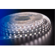 Лента DesignLed DSG560-12-NW-33