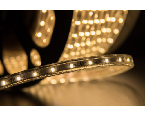 Оформить заказ Лента SWG LT360-WW-100| VIVID-LIGHT.RU