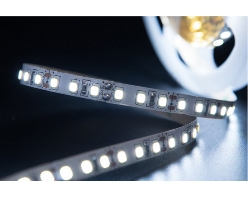 Оформить заказ Лента SWG SWG2120-12-12-W| VIVID-LIGHT.RU