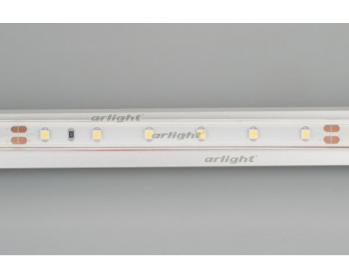 Сделать заказ Лента Arlight 024562(2)| VIVID-LIGHT.RU