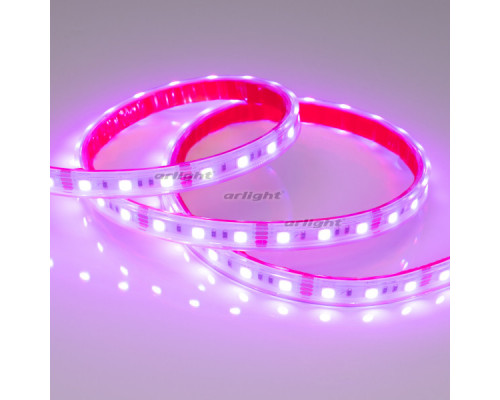Купить Лента Arlight 021402(2)| VIVID-LIGHT.RU