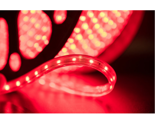 Оформить заказ Лента SWG LT360-R-100| VIVID-LIGHT.RU