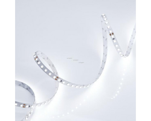 Сделать заказ Лента Arlight 013747(B)| VIVID-LIGHT.RU