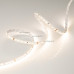 Сделать заказ Лента Arlight 027937(2)| VIVID-LIGHT.RU