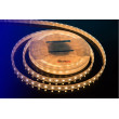 Лента DesignLed DSG560-12-WW-65