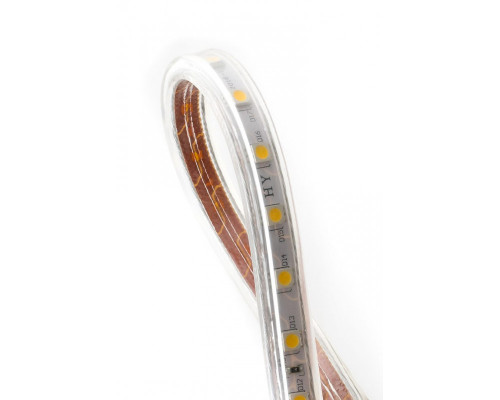 Заказать Лента SWG LT560-WW-50| VIVID-LIGHT.RU