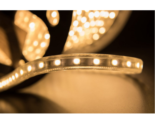 Заказать Лента SWG LT560-WW-50| VIVID-LIGHT.RU