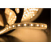 Заказать Лента SWG LT560-WW-50| VIVID-LIGHT.RU