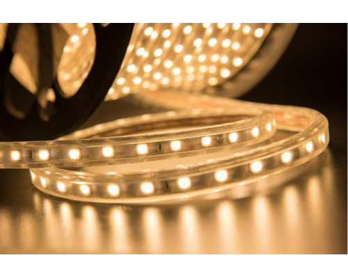 Заказать Лента SWG LT560-WW-50| VIVID-LIGHT.RU