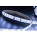 Сделать заказ Лента SWG SWG260-12-4.8-W-65| VIVID-LIGHT.RU