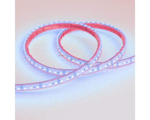 Сделать заказ Лента Arlight 013392| VIVID-LIGHT.RU