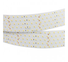 Лента Arlight 019081(B)