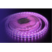 Купить Лента DesignLed DSG560-12-RGB-65| VIVID-LIGHT.RU
