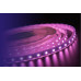 Купить Лента DesignLed DSG560-12-RGB-65| VIVID-LIGHT.RU