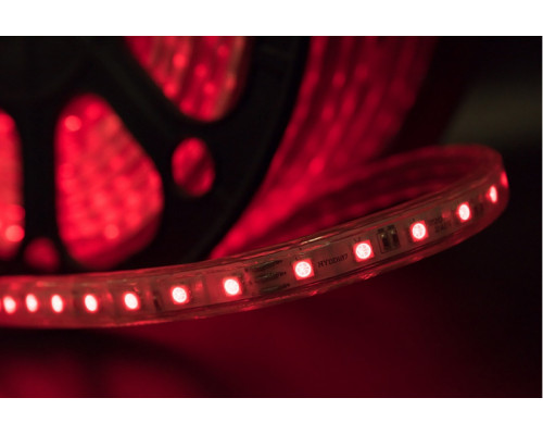 Сделать заказ Лента SWG LT560-RGB-50| VIVID-LIGHT.RU