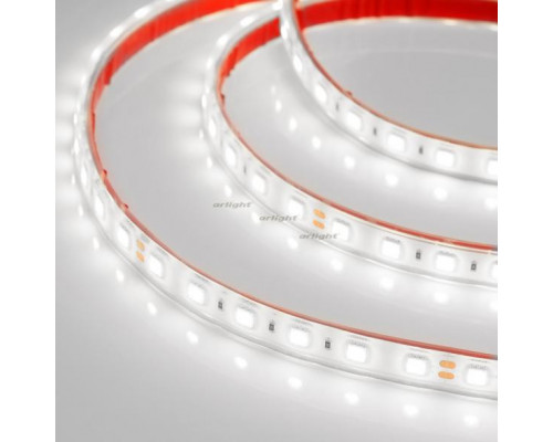 Сделать заказ Лента Arlight 013584| VIVID-LIGHT.RU