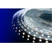 Заказать Лента DesignLed DSG560-12-W-33| VIVID-LIGHT.RU