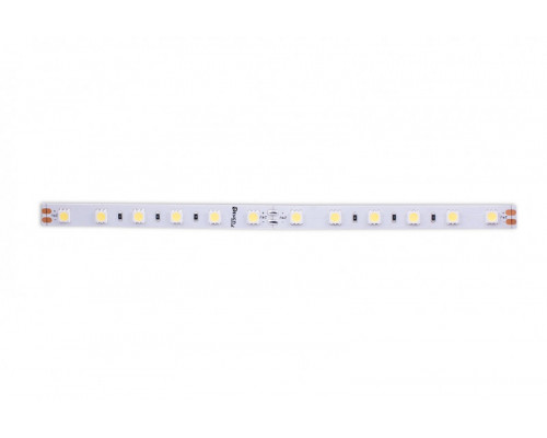 Купить Лента DesignLed DSG560-24-W-33| VIVID-LIGHT.RU