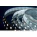 Купить Лента DesignLed DSG560-24-W-33| VIVID-LIGHT.RU
