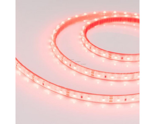 Заказать Лента Arlight 013394| VIVID-LIGHT.RU