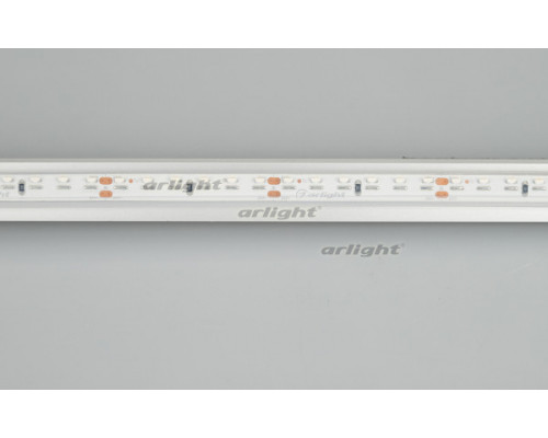 Заказать Лента Arlight 027044(2)| VIVID-LIGHT.RU