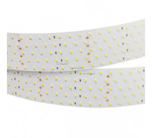 Лента Arlight 025163