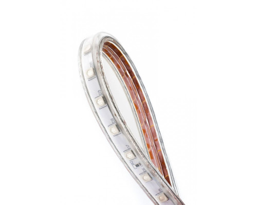 Купить Лента SWG LT560-B-50| VIVID-LIGHT.RU