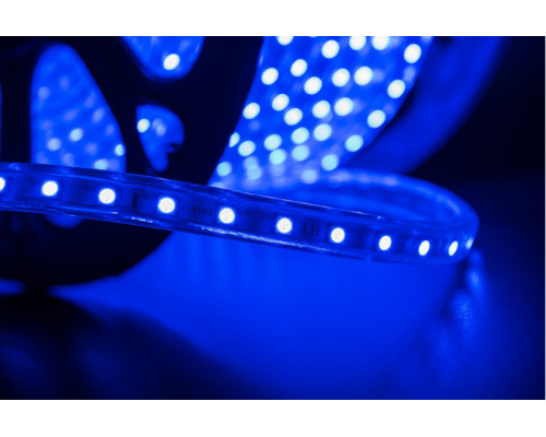 Купить Лента SWG LT560-B-50| VIVID-LIGHT.RU