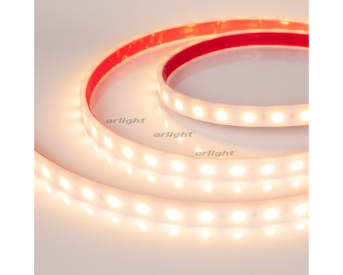 Купить Лента Arlight 016171(2)| VIVID-LIGHT.RU