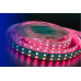 Купить Лента DesignLed DSG5120-24-RGB+W-33| VIVID-LIGHT.RU