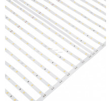 Лента Arlight 027120